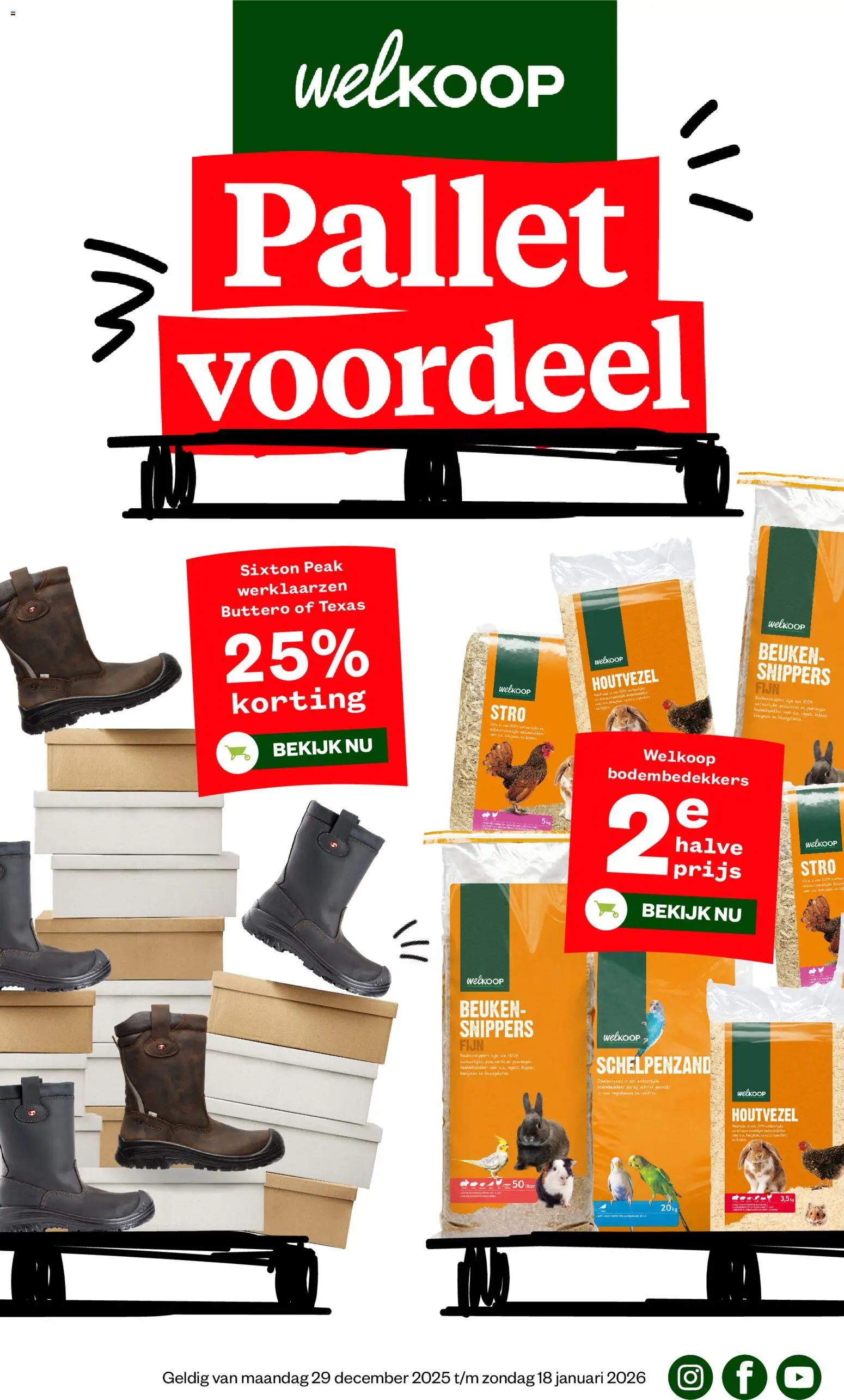 Voorbeeld van Folder van winkel Welkoop geldig vanaf 29-12-2025 - Kamerplanten