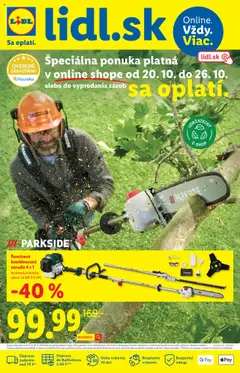 Náhľad Lidl letáku platného od 20.10.2025