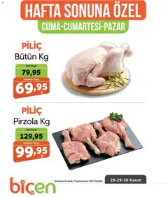 Biçen Market Hafta Sonuna Özel - Piliç Ürünleri 28.11.2025 - Broşürünün önizlemesi