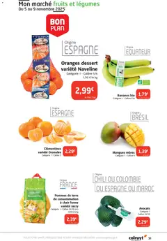 Prévisualisation de Catalogue du magasin Colruyt formulaire valide 05/11/2025 | Page: 31