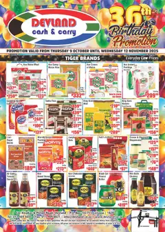 Preview of Devland flyer valid from 09/10/2025