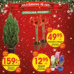 Förhandsgranska reklamblad Aktuella reklamblad EKO från butik EKO gäller från 03/11/2025 | Sida : 9