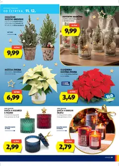 Predogled kataloga iz trgovine Hofer veljaven od 04.12.2025 | Stran: 39