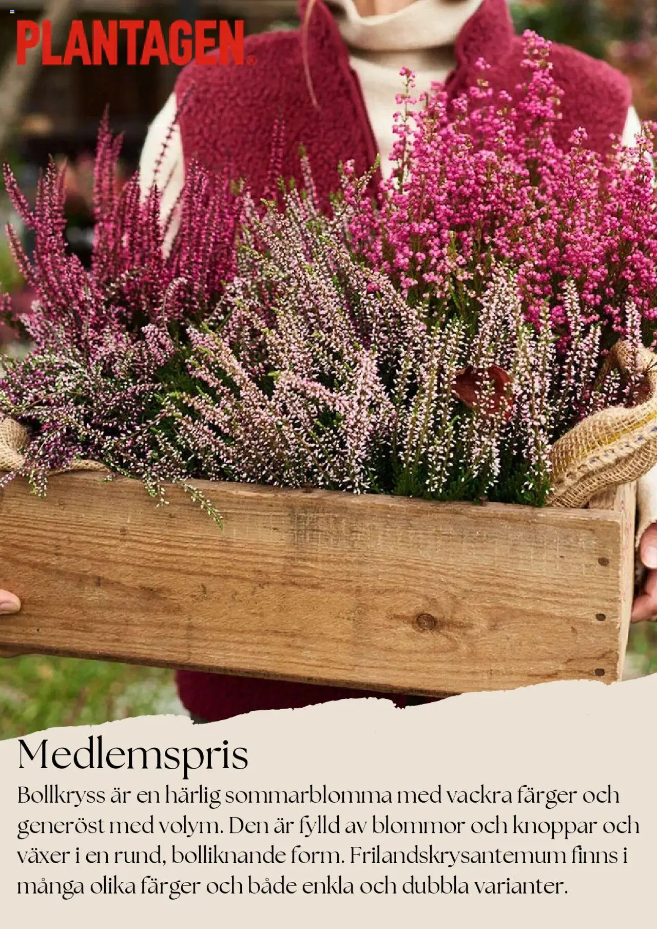 Aktuella reklamblad Plantagen är giltig 01/09 2025 > Veckans Erbjudanden gäller från 01/09/2025 till 30/09/2025 sidnummer 1