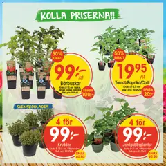 Förhandsgranska reklamblad EKO erbjudanden från butik EKO gäller från 06/04/2026