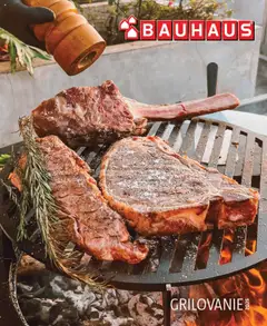 Náhľad Bauhaus letáku platného od 12.04.2025