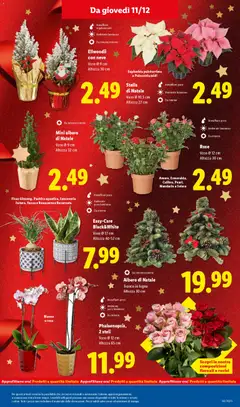 Anteprima dell'opuscolo Attuale volantino dal negozio Lidl valido da 08/12/2025 | Pagina: 33