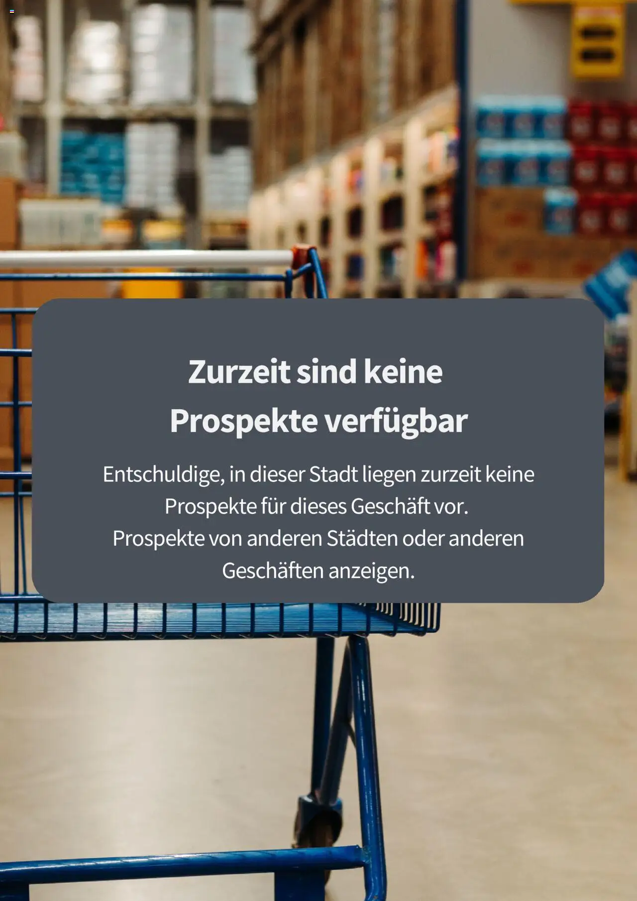 Hellweg Prospekt (vom 23.08.2025 - 20.08.2026)