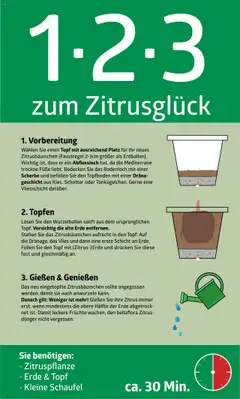 Vorschau der Angebote: bellaflora 1-2-3 zum Zitrusglück gültig ab 13.02.2023