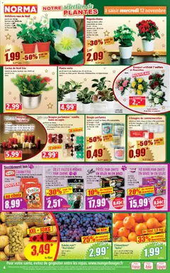 Prévisualisation de Catalogue du magasin Norma formulaire valide 12/11/2025 | Page: 4