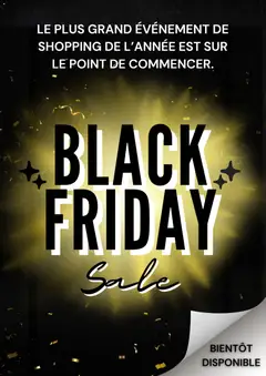 Prévisualisation de Black Friday avis du magasin Carrefour formulaire valide 04/11/2025