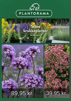 Eksempel på tilbudsavis Tilbudsavis fra butik Plantorama gyldig fra 10/07/2025