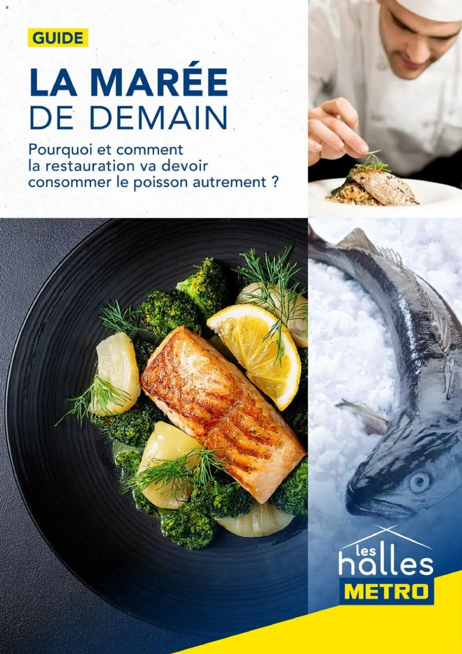 Prévisualisation de METRO - La maree de demain du magasin METRO formulaire valide 01/09/2025