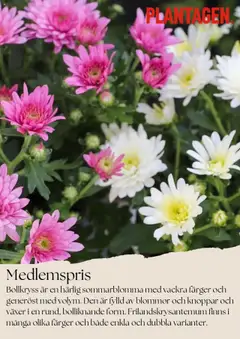 Förhandsgranska reklamblad Aktuella reklamblad Plantagen från butik Plantagen gäller från 01/08/2025