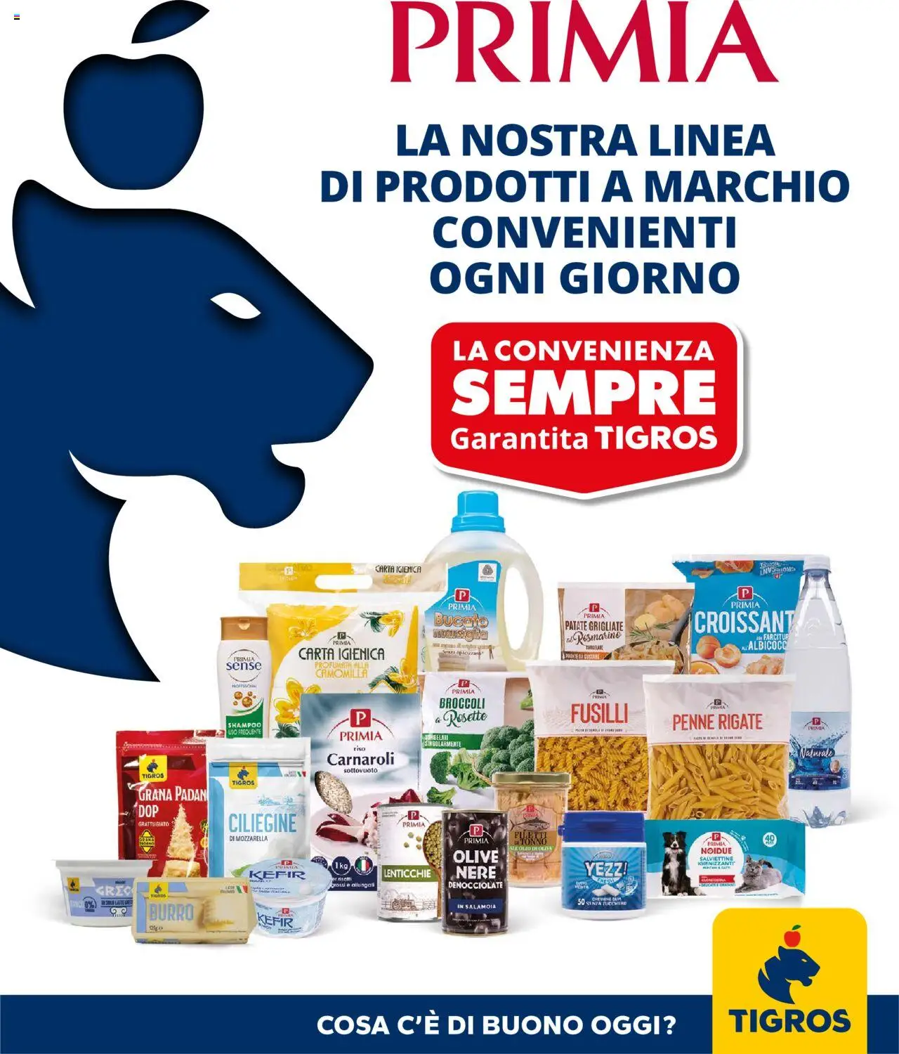 Volantino Tigros valido da 02/09/2025 numero di pagina 1