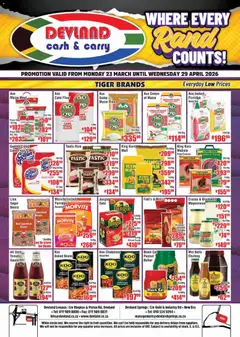 Preview of Devland flyer valid from 23/03/2026