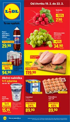 Náhled nabídky: Lidl Leták platný od 19.02.2026