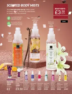 Preview of AVON Offers valid from 01/12/2025 | Page: 237