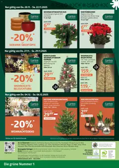 Vorschau der Angebote: bellaflora Flugblatt gültig ab 20.11.2025 | Seite: 8