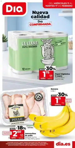 Vista previa del folleto de la tienda Dia válido desde el 11/02/2026 