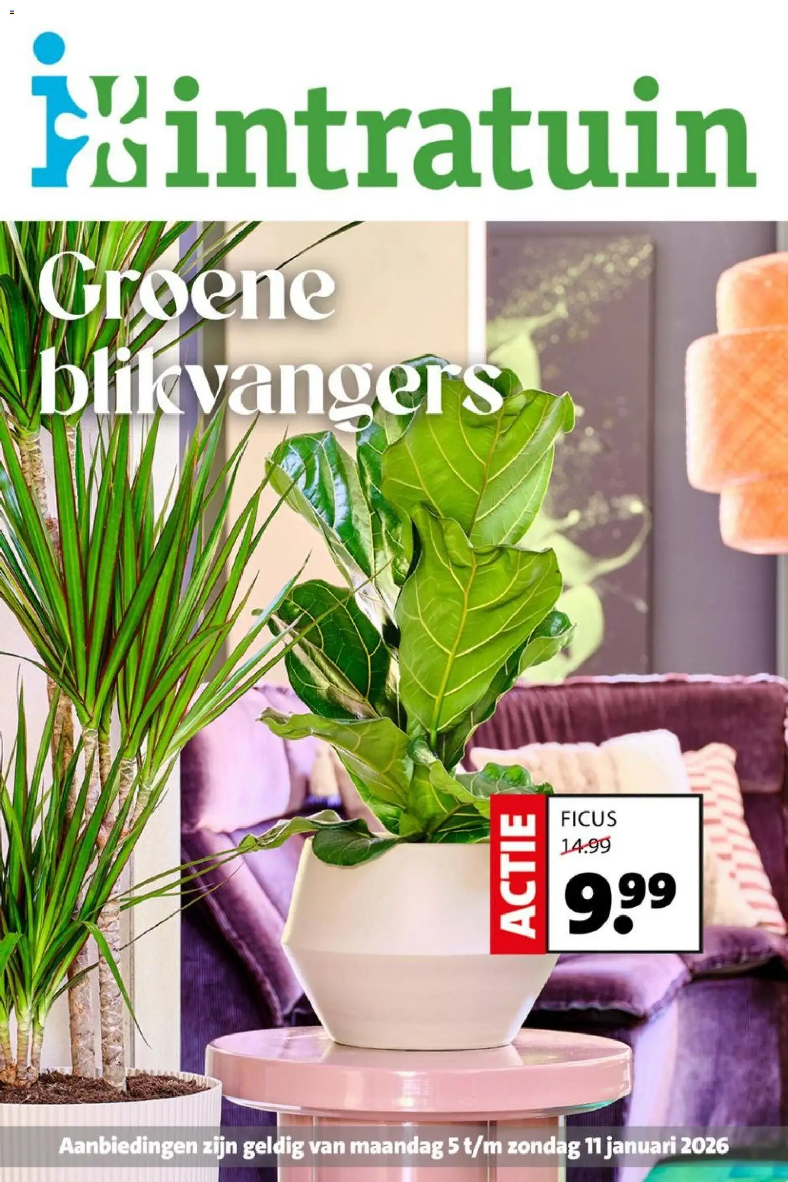 Voorbeeld van Folder van winkel Intratuin geldig vanaf 05-01-2026
