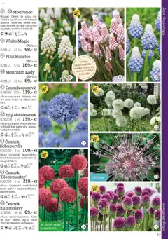 Náhled nabídky: Starkl Katalog podzim 2025 platný od 01.08.2025 | Strana: 53