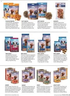 Vorschau der Angebote: Dehner Flugblatt gültig ab 10.10.2025 | Seite: 81