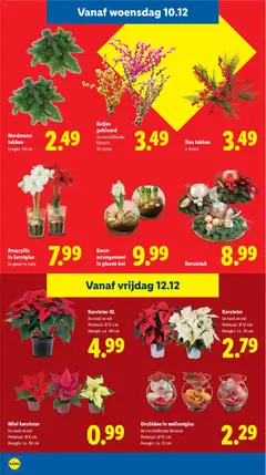 Voorbeeld van Folder week 50 van winkel Lidl geldig vanaf 08-12-2025 | Pagina: 27