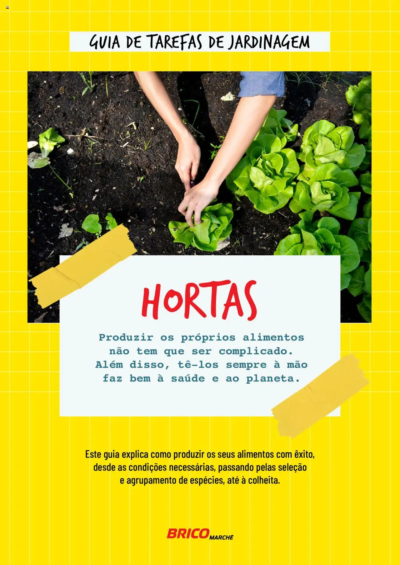 Pré-visualização do folheto da loja BricoMarché válida a partir de 17/01/2024