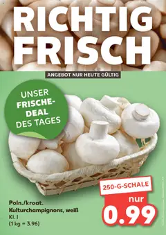 Voorbeeld van DE Folder van winkel Kaufland DE geldig vanaf 17-10-2025