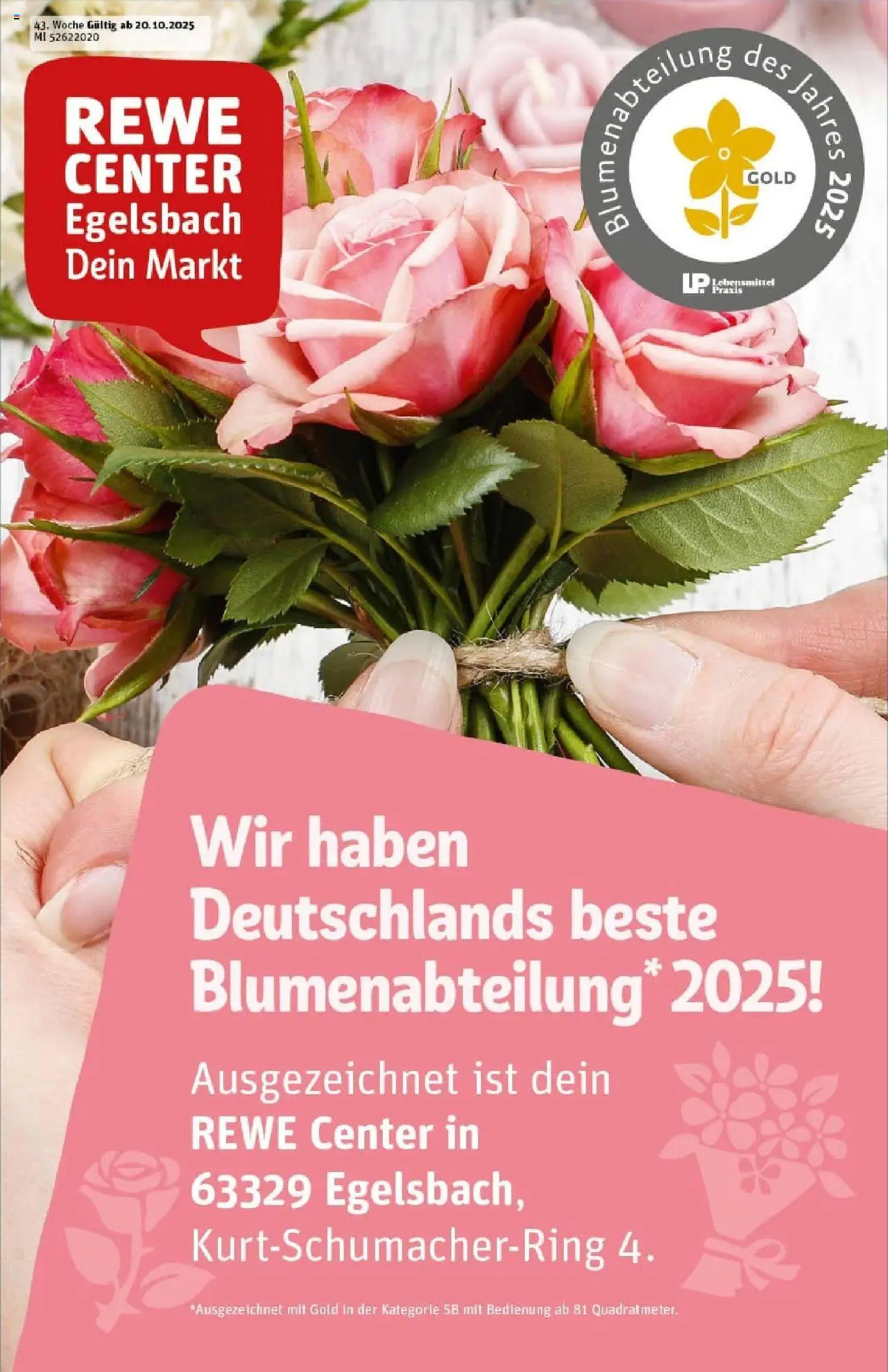 REWE Prospekt ab 19.10.2025 nächste Woche - Prospekt Egelsbach	