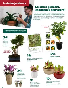 Prévisualisation de Catalogue du magasin Truffaut formulaire valide 05/12/2025 | Page: 8