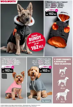 Náhled nabídky: Woolworth Leták platný od 31.10.2025 | Strana: 16