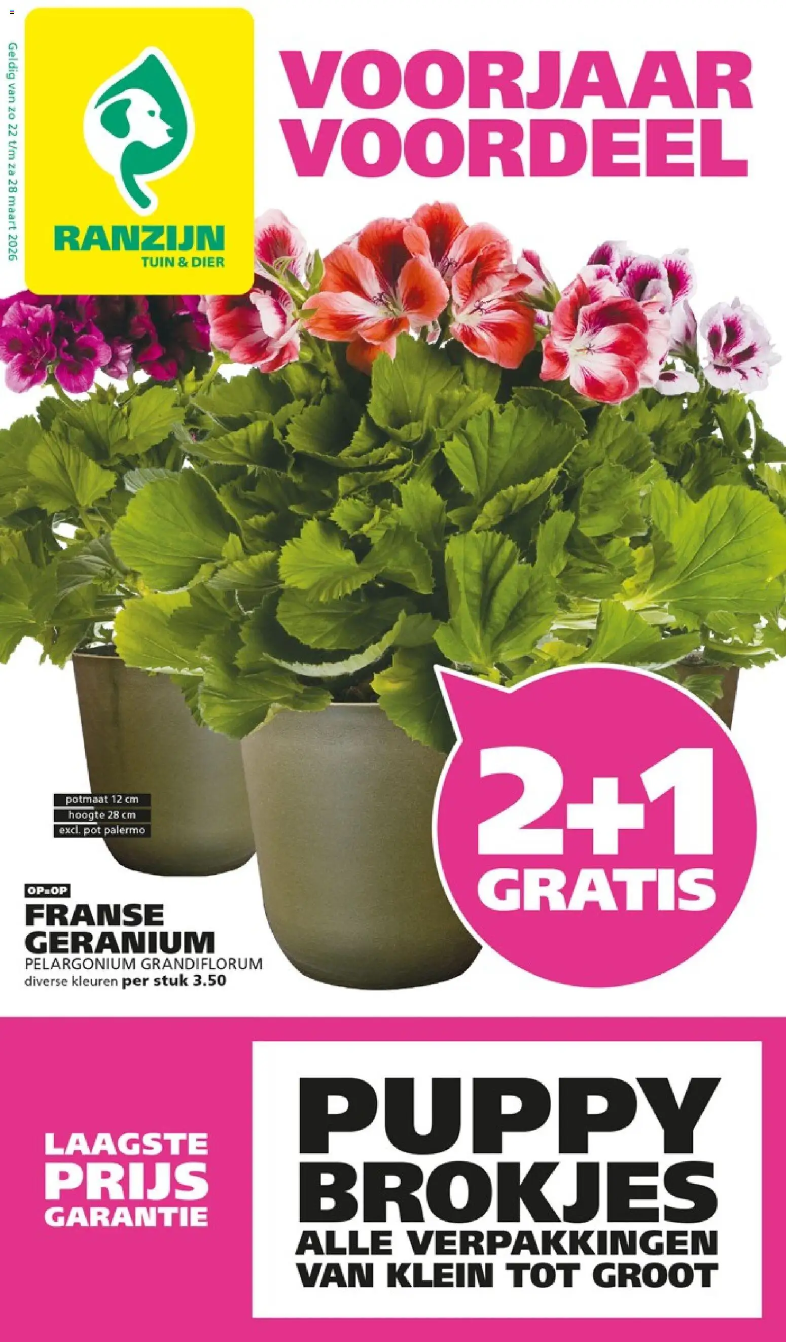 Voorbeeld van Ranzijn folder van winkel Ranzijn geldig vanaf 22-03-2026