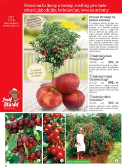 Náhled nabídky: Starkl Katalog podzim 2025 platný od 01.08.2025 | Strana: 8