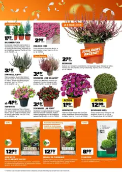 Vorschau von dem Prospekt des Geschäftes Obi, gültig ab dem 16.10.2025 | Seite: 19