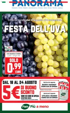 Anteprima dell'opuscolo Volantino Roma dal negozio Panorama valido da 21/08/2025
