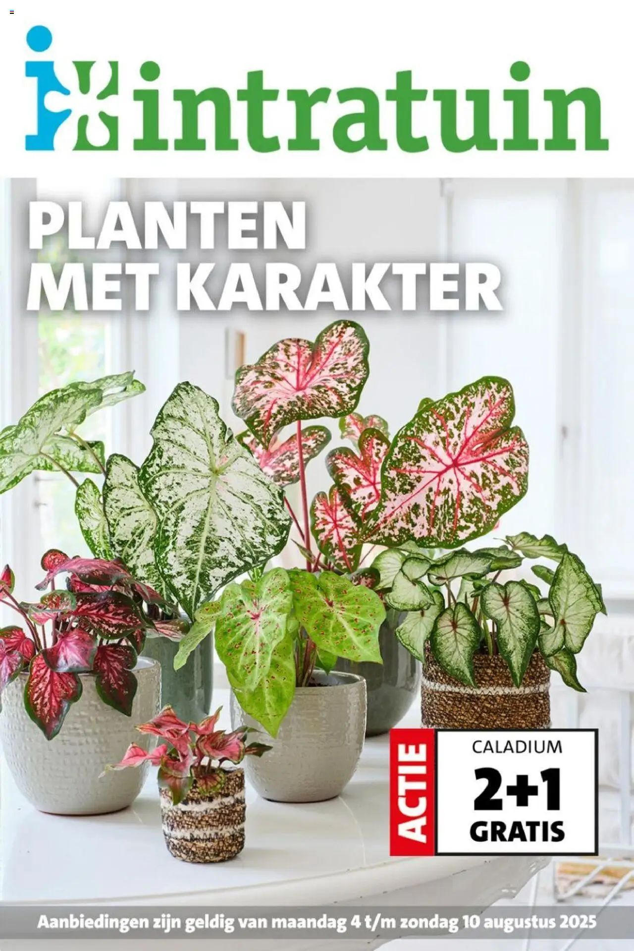 Intratuin shop Folder geldig vanaf 04-08-2025 - Paginanummer 1