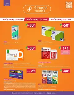 Gintarinė parduotuvės leidinio Leidinys galiojančio nuo 2026.01.01 peržiūra