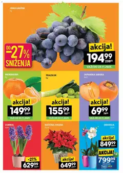 Pregled Roda kataloga - važi od 20.11.2025 | Strana: 2