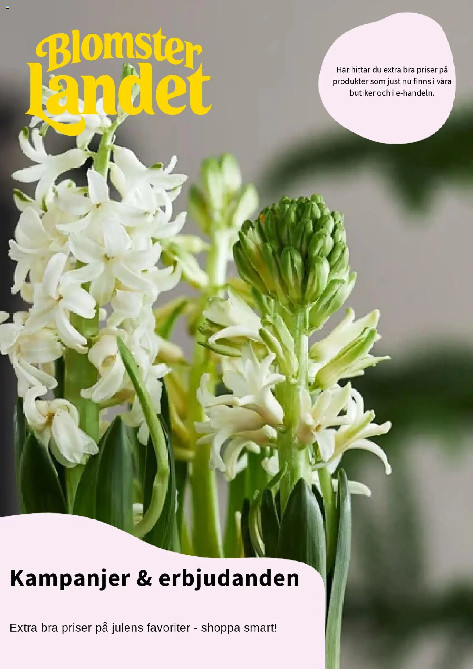 Förhandsgranska reklamblad Aktuella reklamblad Blomsterlandet från butik Blomsterlandet gäller från 01/12/2025