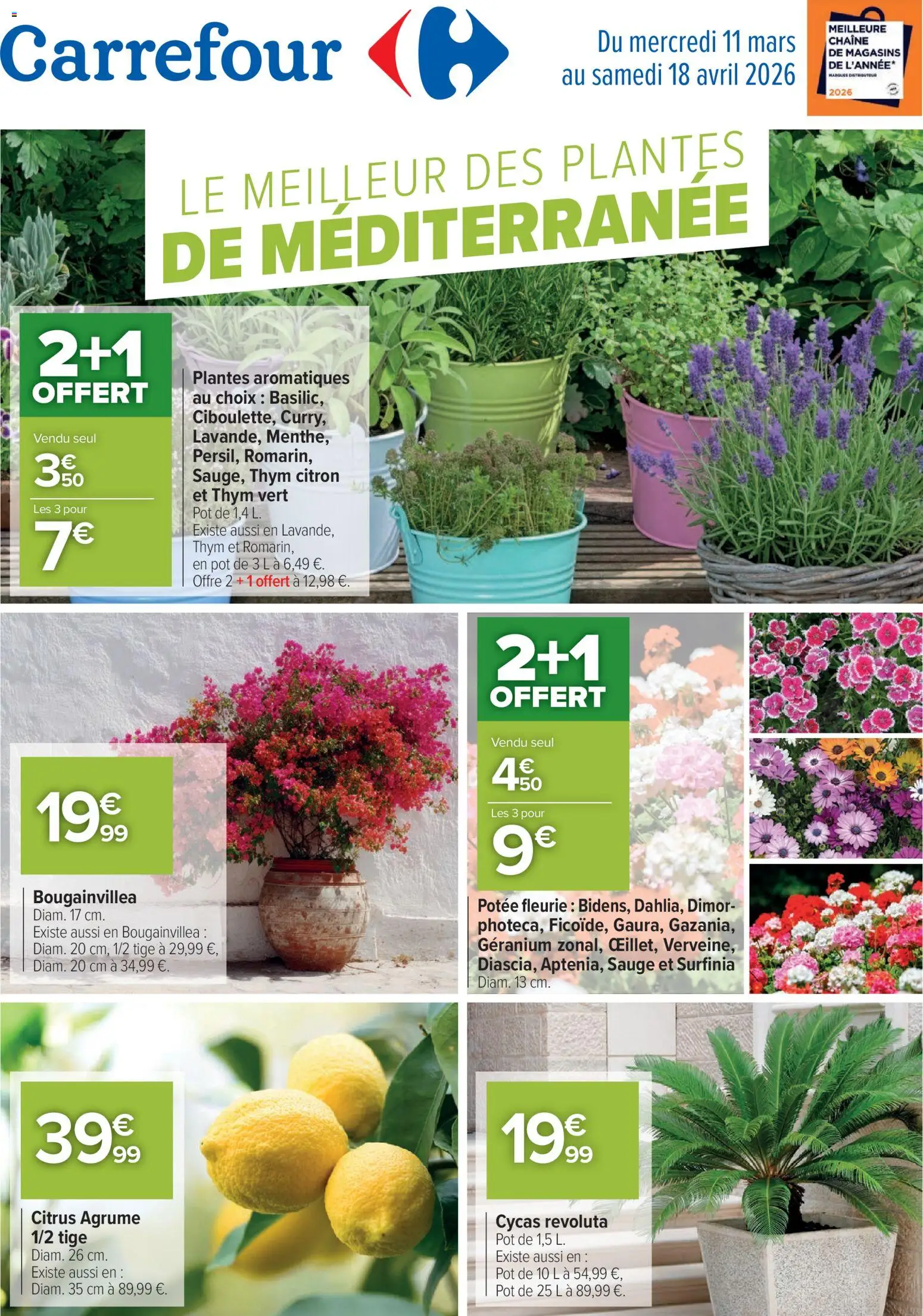 Prévisualisation de Carrefour Le meilleur des plantes de méditerranée du magasin Carrefour formulaire valide 11/03/2026