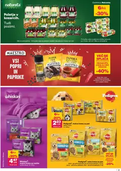 Predogled kataloga iz trgovine Mercator veljaven od 23.10.2025 | Stran: 31