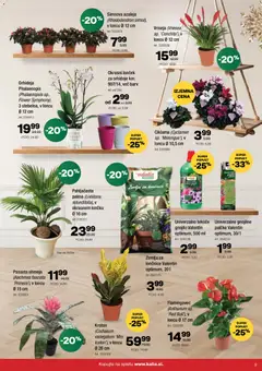 Predogled kataloga iz trgovine Kalia veljaven od 01.12.2025 | Stran: 9