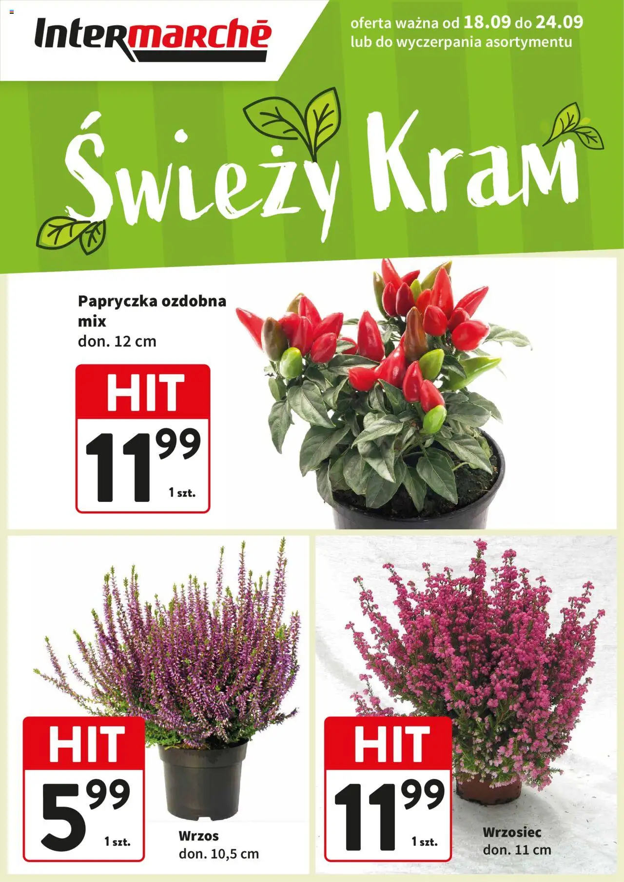 Intermarche Świeży Hit od 18.09.2025 - Nowa Gazetka - Numer strony 1