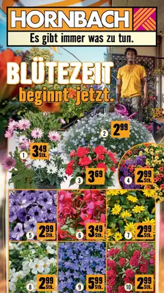Vorschau der Angebote: Hornbach Hornbach: Blütezeit beginnt jetzt. gültig ab 14.04.2026