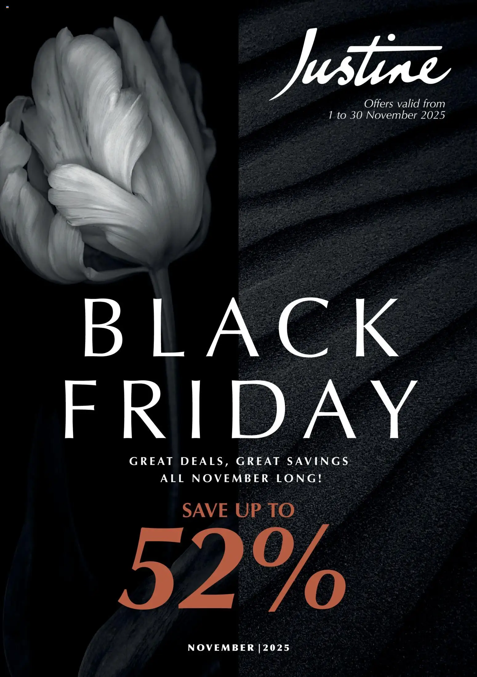 Preview of Justine flyer valid from 01/11/2025