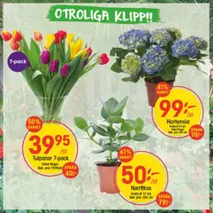 Förhandsgranska reklamblad Aktuella reklamblad EKO från butik EKO gäller från 26/01/2026