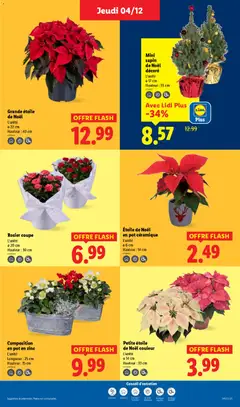 Prévisualisation de Catalogue de la semaine 49 du magasin LIDL formulaire valide 04/12/2025 | Page: 43