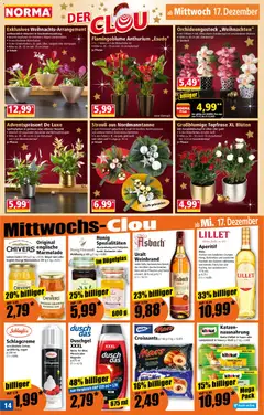 Vorschau von dem Prospekt des Geschäftes Norma, gültig ab dem 15.12.2025 | Seite: 18